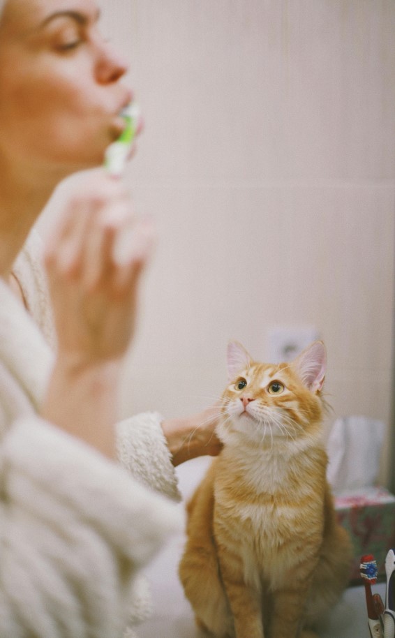 woman brushing her teeth